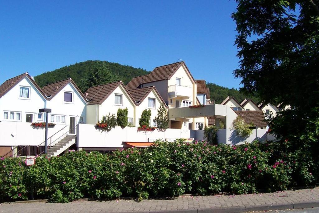 Gemutliche 93M2Fewo Mit 2 Schlafzimmern Und Seitlichem Seeblick Vom Balkon Scheid  Exteriér fotografie